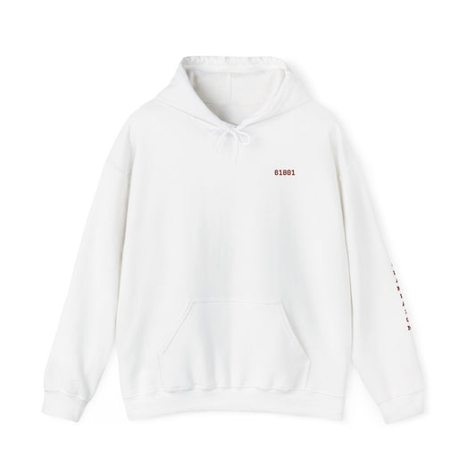 College Town Hoodie Collection - Champaign Urbana 61801